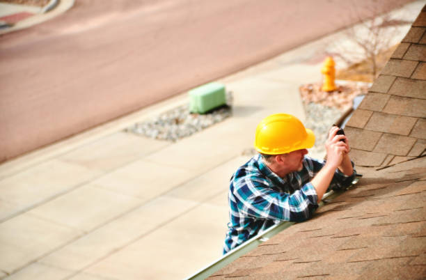 Best Roof Moss and Algae Removal  in Sikeston, MO